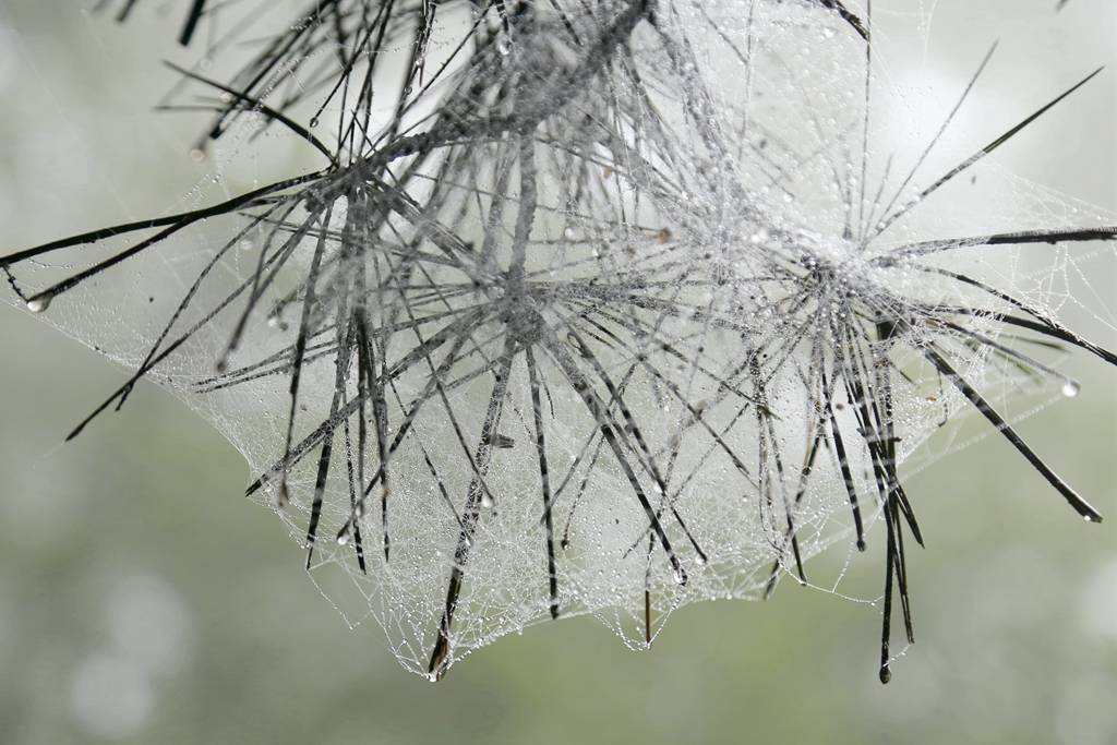 网呀网<strong></p>
<p>网币网</strong>，说不清的网