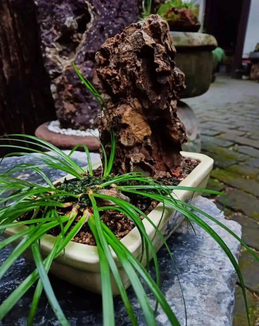 蒲人清居