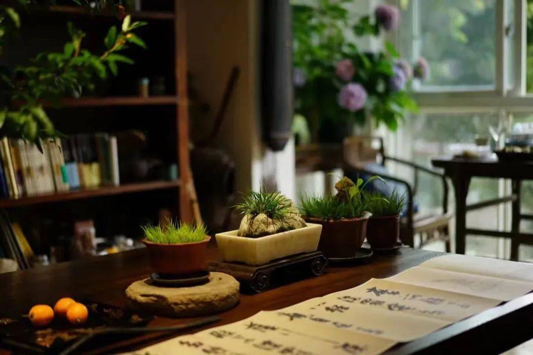 喝茶赏蒲