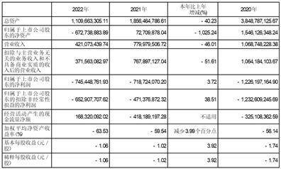 广东榕泰实业股份有限公司2022年度报告摘要