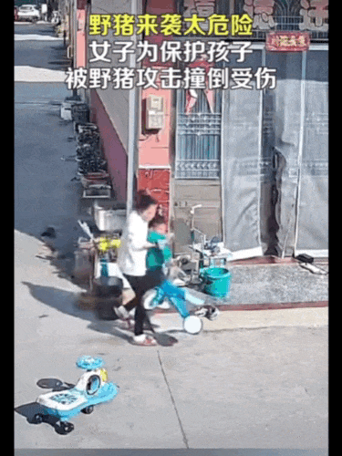 不是上海<strong></p>
<p>个人理财论文</strong>！不是上海！不是上海！最新：已被特警击毙