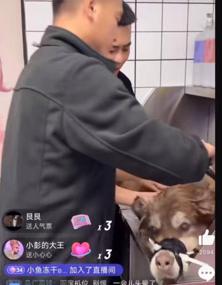 千万粉丝训犬师网红潘宏账号内容被一夜清空<strong></p>
<p>理财指南</strong>，园区所在地官方：正调查