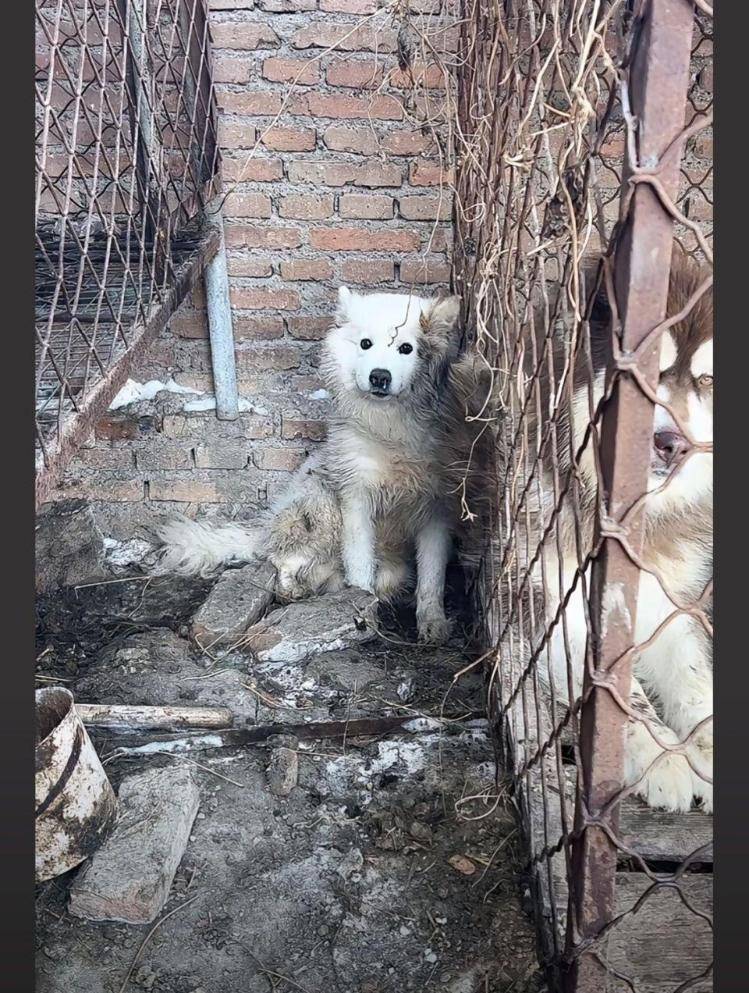 千万粉丝训犬师网红潘宏账号内容被一夜清空<strong></p>
<p>理财指南</strong>，园区所在地官方：正调查