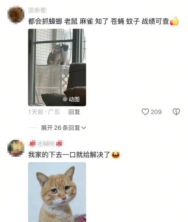 老鼠掉进泳池<strong></p>
<p>无风险理财</strong>，广东大叔出动鸡猫狗团队，结果全被老鼠吓跑！网友坐不住纷纷晒战绩