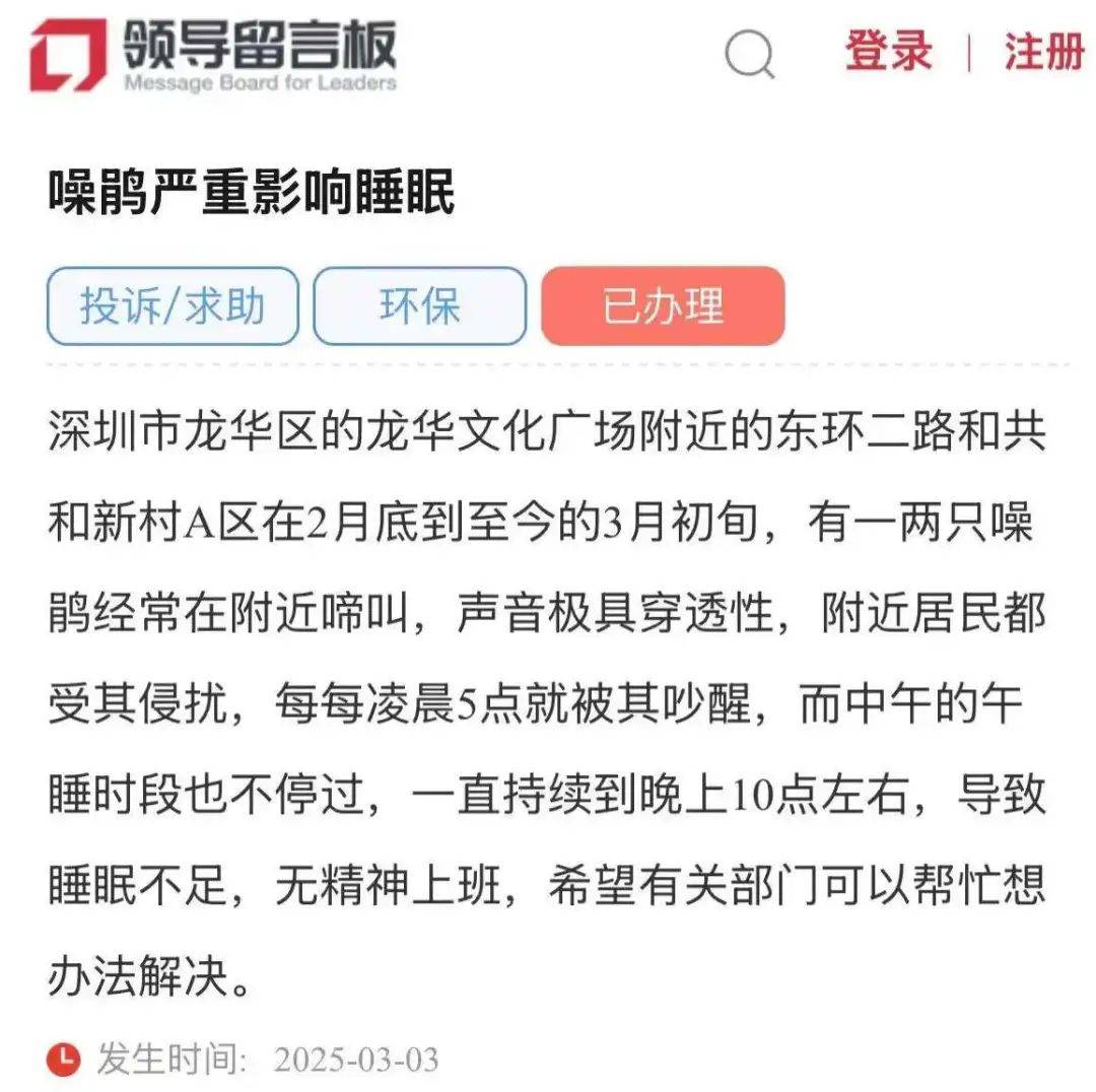 “周末想睡个懒觉都不行”<strong></p>
<p>金融理财培训</strong>，有多少深圳人被这种鸟吵到神经衰弱