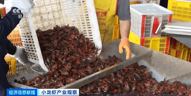 价格暴跌近50%<strong></p>
<p>互联网理财平台</strong>！“接下来还会降”！青岛正大量上市……