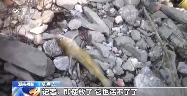保护区里的“疯狂垂钓”屡禁不止<strong></p>
<p>理财软件</strong>！记者调查