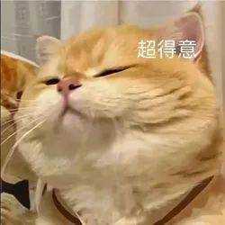 广西男子一口气花38.8万元买了40台手机<strong></p>
<p>菜鸟理财</strong>，民警很快找上门……