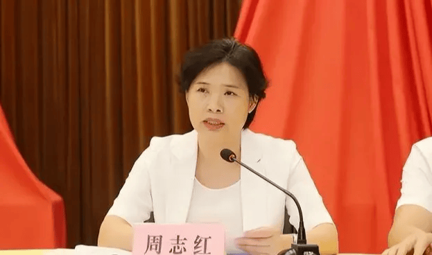 中共中央批准<strong></p>
<p>虚拟币DM5</strong>，开除周志红党籍