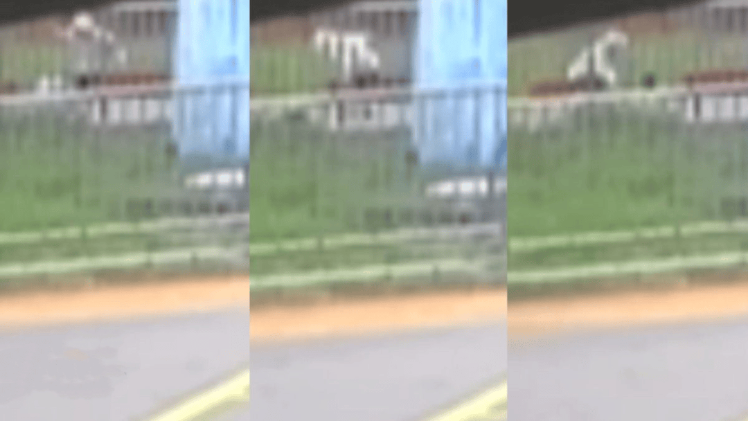 “44秒31刀”<strong></p>
<p>淘汰虚拟币挖矿活动</strong>，台湾残忍情杀案曝光：多次寻求复合被拒，17岁少年网购长刀当众杀害21岁前女友，已被逮捕