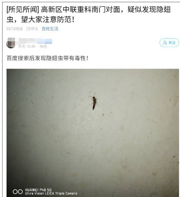 西安多区发现隐翅虫？千万别拍<strong></p>
<p>虚拟币TLS-1</strong>！毒液堪比硫酸