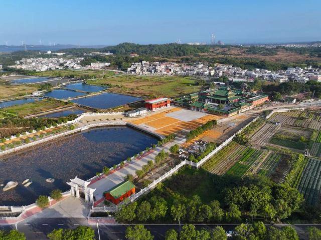 这个经济大省<strong></p>
<p>虚拟币比特王</strong>，为何多地镇街撤并？