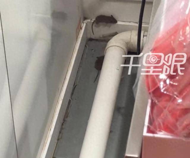 网曝蜜雪冰城一门店有多只老鼠横行<strong></p>
<p>虚拟币IDO价格</strong>，涉事门店员工回应