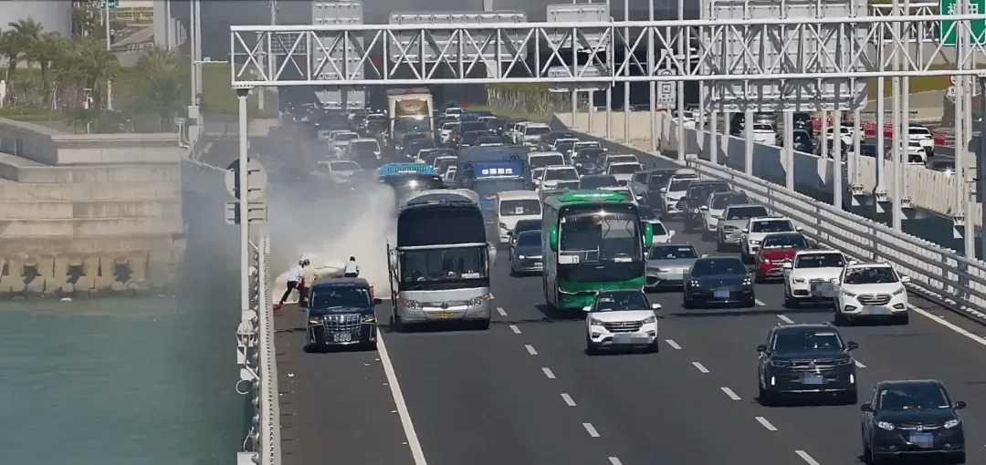 粤B·97821D、粤Z·AG85澳、粤T·91736<strong></p>
<p>虚拟币鱿鱼币代码</strong>，你们被拍下来了！