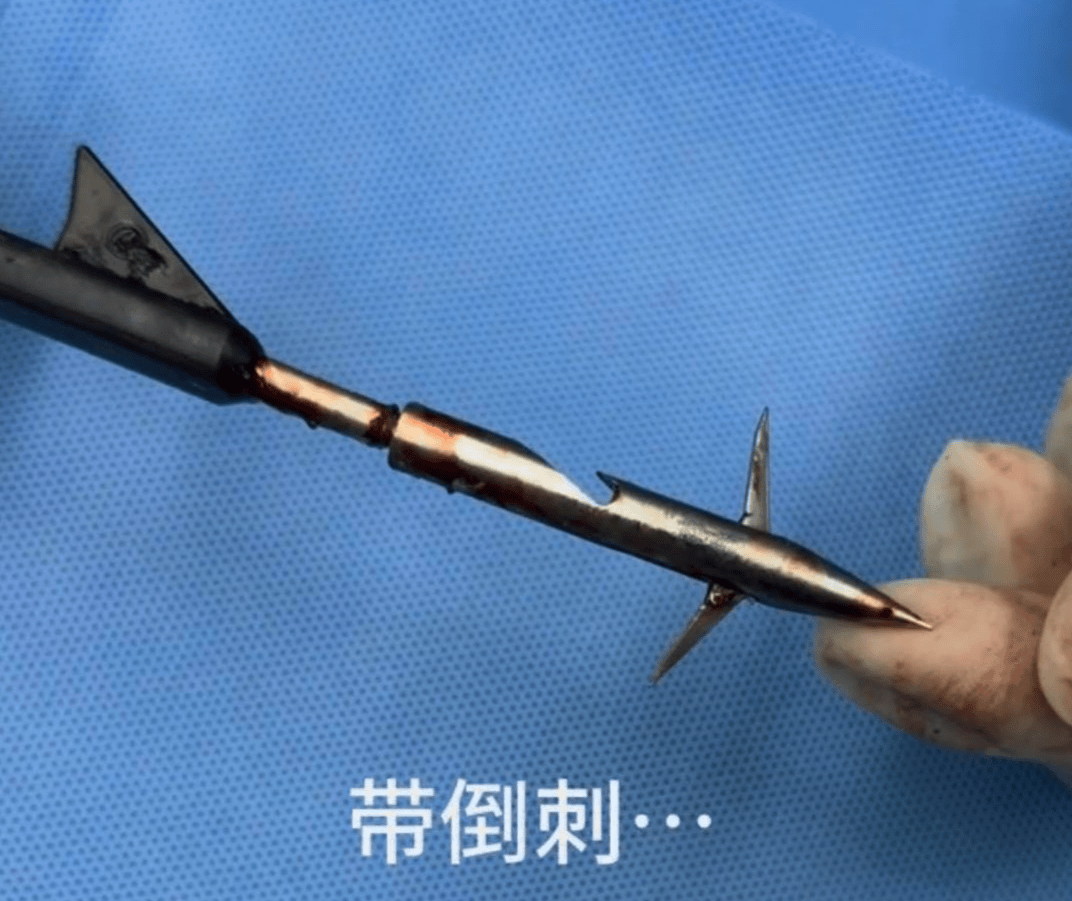 教育局回应“一教师用弓箭射杀小狗”：不实<strong></p>
<p>虚拟货币兔子币</strong>，小狗进学校前就被射伤