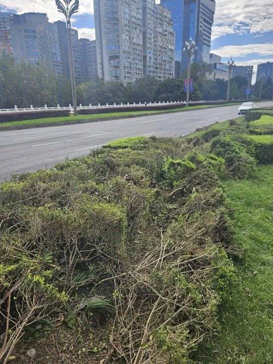 小米汽车失控起火司机遇难<strong></p>
<p>虚拟币EDU最新消息</strong>，目击者称车速150km/h，实探事故地：燃烧留下的印记仍在