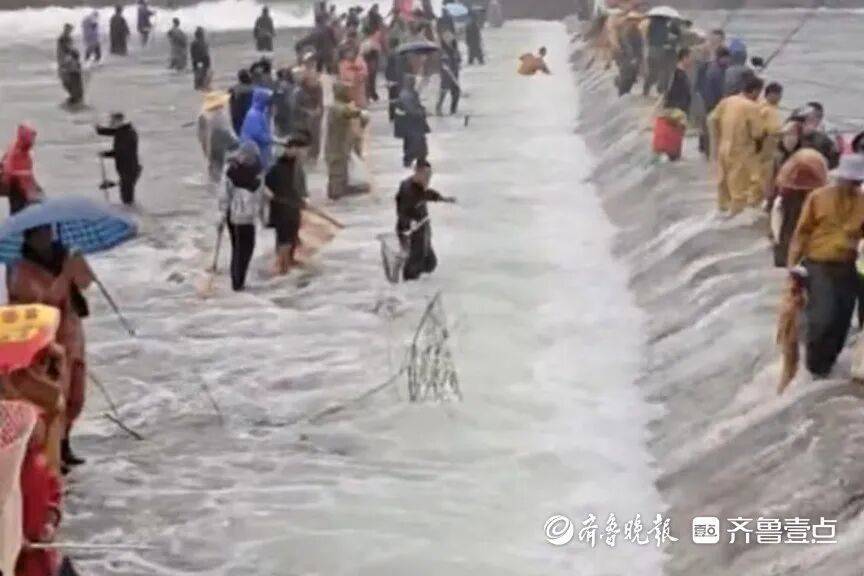 “鱼多得数不过来<strong></p>
<p>虚拟币飞机群</strong>，一网子下去能捞好几条”济南锦绣川水库开闸放水，大量鲢鱼被冲出，工作人员：禁止捕捞！