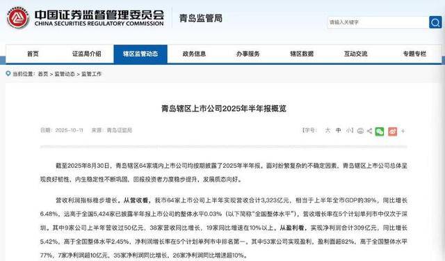 3323亿营收、1065亿海外收入<strong></p>
<p>虚拟币飞机群</strong>！青岛上市公司的进击之路