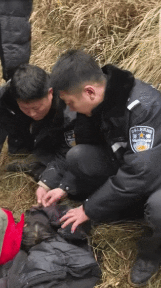 辽宁4岁女童称睡醒后自行下车<strong></p>
<p>虚拟币b单位</strong>，迷路后睡在草地，期间无人接触；其母发声