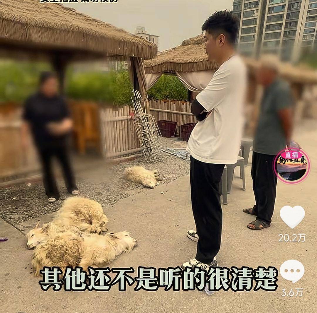 60斤活羊实际只有30多斤<strong></p>
<p>虚拟币b单位</strong>！博主打假重庆两家烤全羊店获“退一赔三”