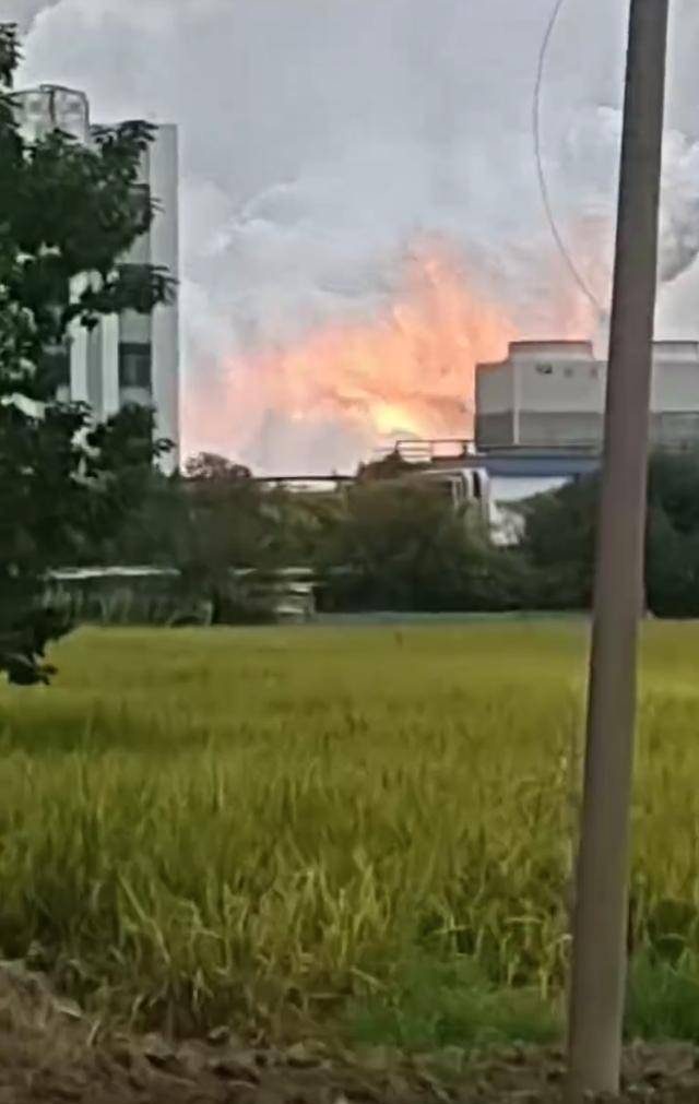 澄星股份工厂发生火灾？附近酒店：已灭火<strong></p>
<p>虚拟币数量扩容20000倍</strong>，有刺激性气味，建议不开窗