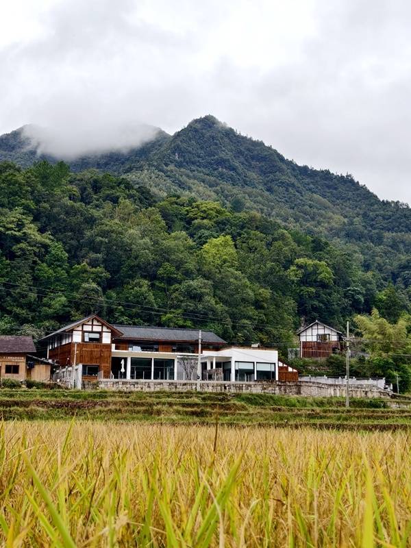 推窗见梯田<strong></p>
<p>虚拟币magic</strong>！梧桐山民宿：把日子过成诗