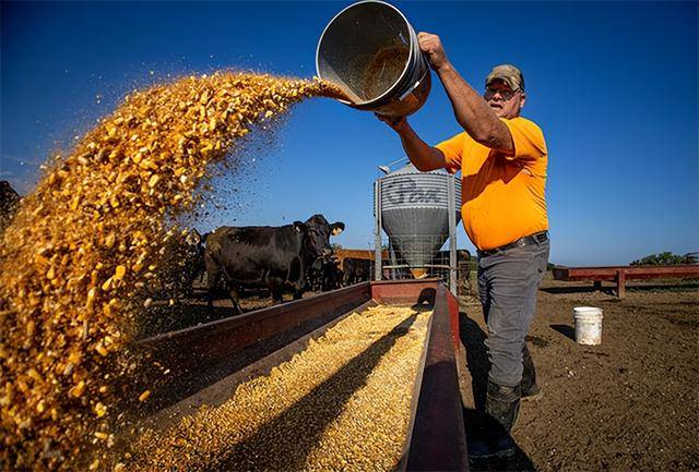 又输给了李成钢<strong></p>
<p>虚拟币KBOX</strong>，贝森特承诺：美方不再考虑对华加征100%关税