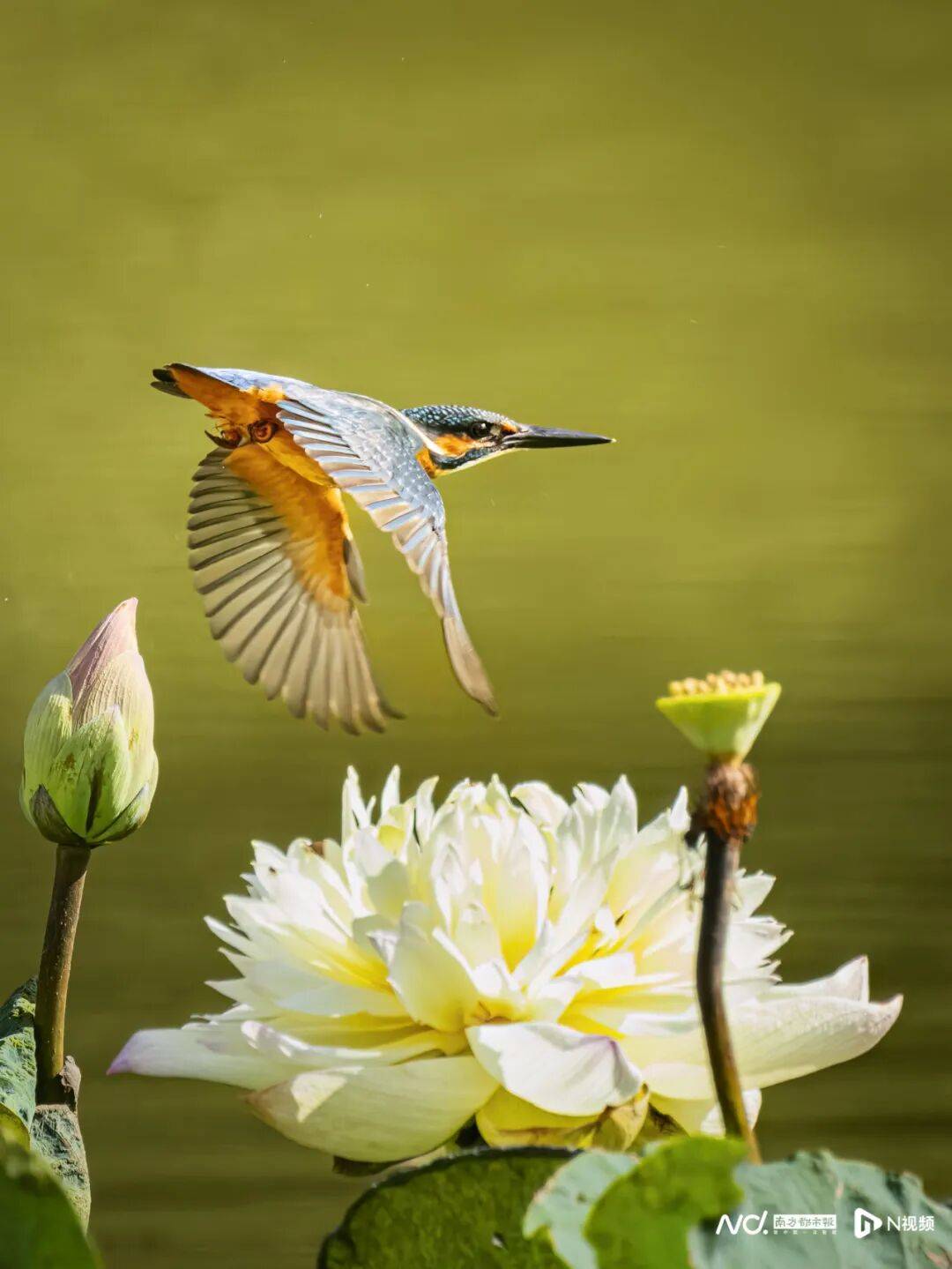 东莞最新发布：将严厉打击这些行为<strong></p>
<p>BGV虚拟币</strong>！