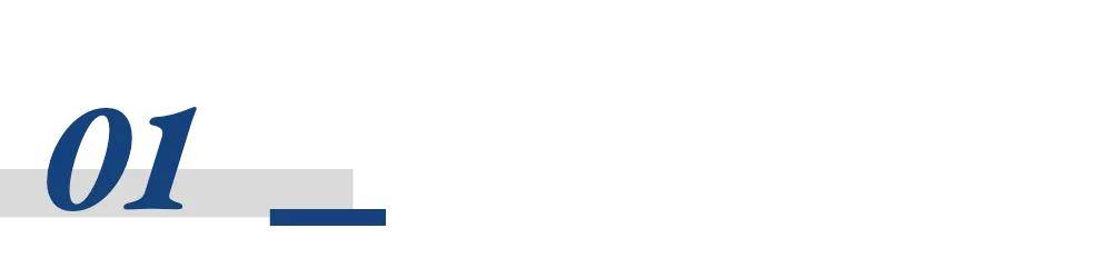 万亿机器人赛道<strong></p>
<p>虚拟币大佬</strong>，谁是背后金主？