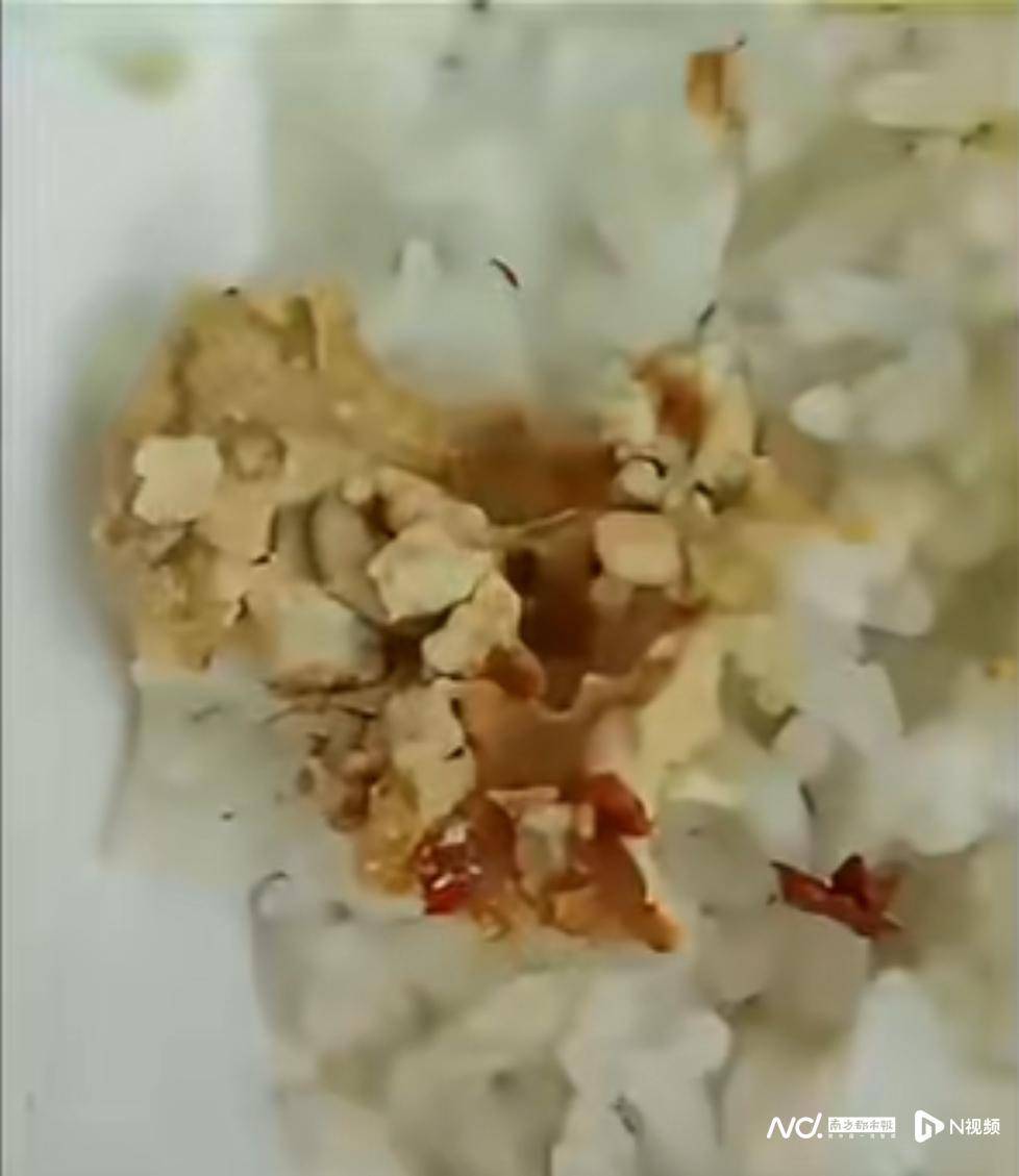 事发佛山<strong></p>
<p>虚拟币大佬</strong>！有市民网购的豆腐乳内有蛆虫蠕动