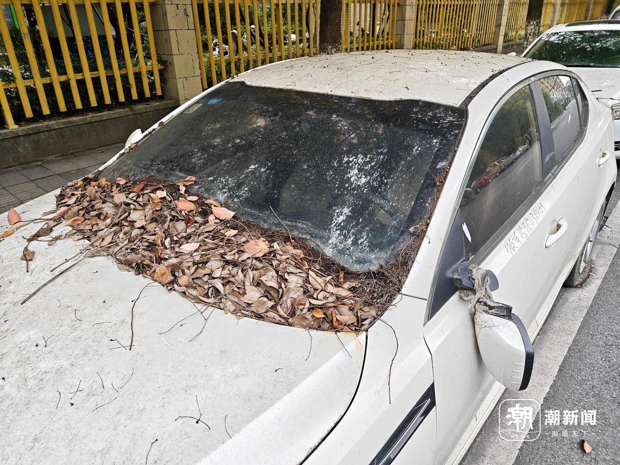 近三成疑似“僵尸车”<strong></p>
<p>电子钱包截图</strong>，杭州这里的路边免费车位缘何成“停车场”