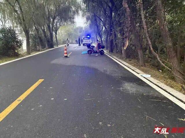 陕西兴平56岁女教师骑电动车“撞树枝”身亡<strong></p>
<p>虚拟币电子数据司法鉴定</strong>，交警判定担主责，家属提出诸多质疑，多方回应