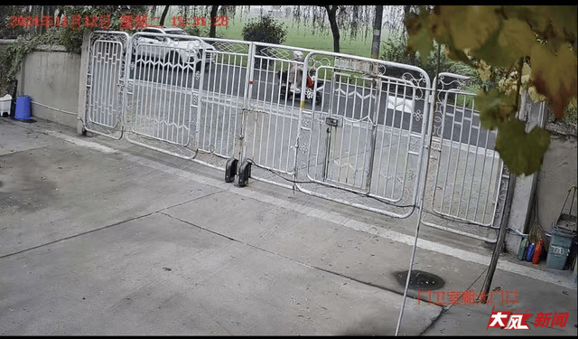 陕西兴平56岁女教师骑电动车“撞树枝”身亡<strong></p>
<p>虚拟币电子数据司法鉴定</strong>，交警判定担主责，家属提出诸多质疑，多方回应