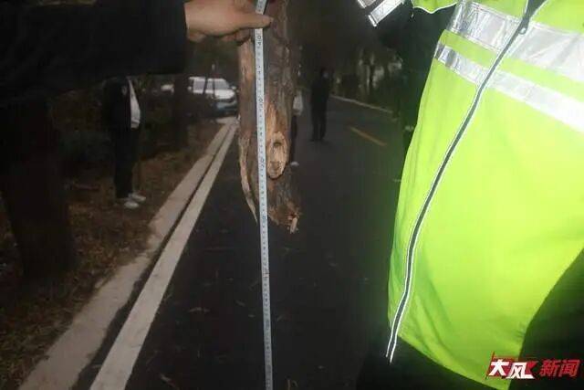 陕西兴平56岁女教师骑电动车“撞树枝”身亡<strong></p>
<p>虚拟币电子数据司法鉴定</strong>，交警判定担主责，家属提出诸多质疑，多方回应