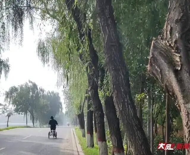 陕西兴平56岁女教师骑电动车“撞树枝”身亡<strong></p>
<p>虚拟币电子数据司法鉴定</strong>，交警判定担主责，家属提出诸多质疑，多方回应