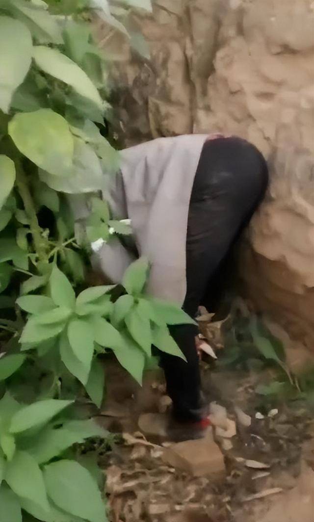 陕西一女子疑因拍亲姑姑偷玉米遭姑父棍杀<strong></p>
<p>虚拟币电子信</strong>，邻居欲报警也遇害