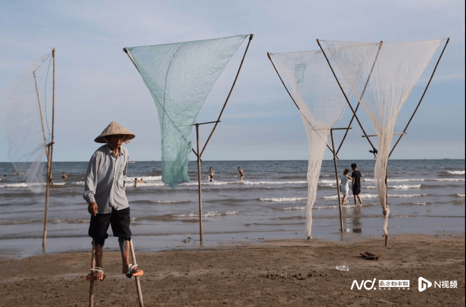 外交部赵立坚点赞湛江：渔网起落间<strong></p>
<p>虚拟币电子信</strong>，满舱鲜活载着晨光归来