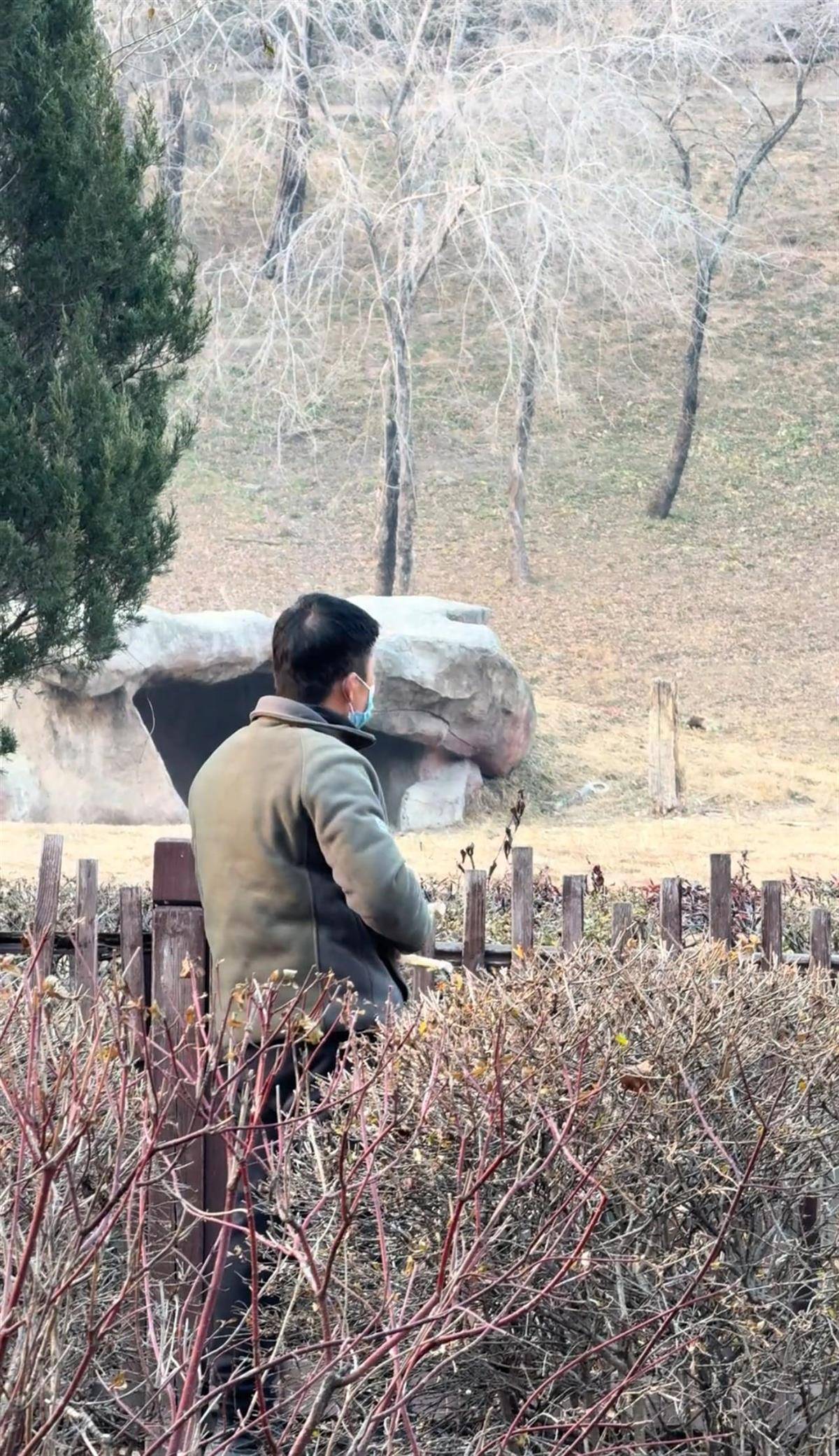 沈阳一男子动物园内用弹弓射老虎<strong></p>
<p>国内玩虚拟币</strong>,目击者称其“填装了弹丸”,打完后老虎爬起来了,园方:正在核实情况