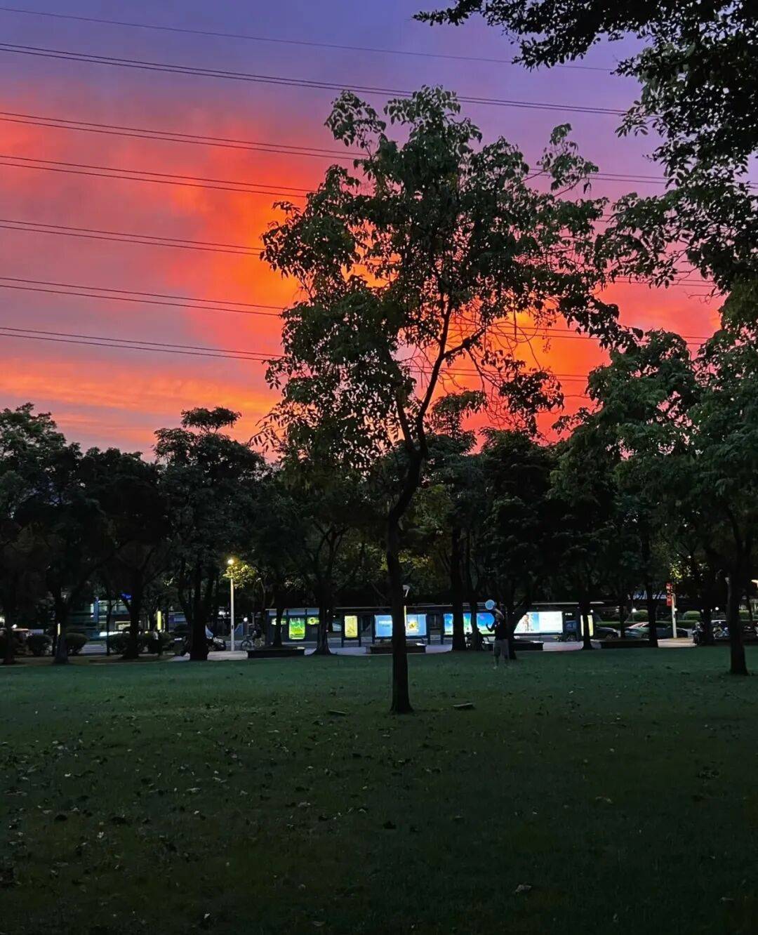 第一批丁克老后<strong></p>
<p>国内玩虚拟币</strong>，“伴侣能陪一程，但最后都要靠自己”