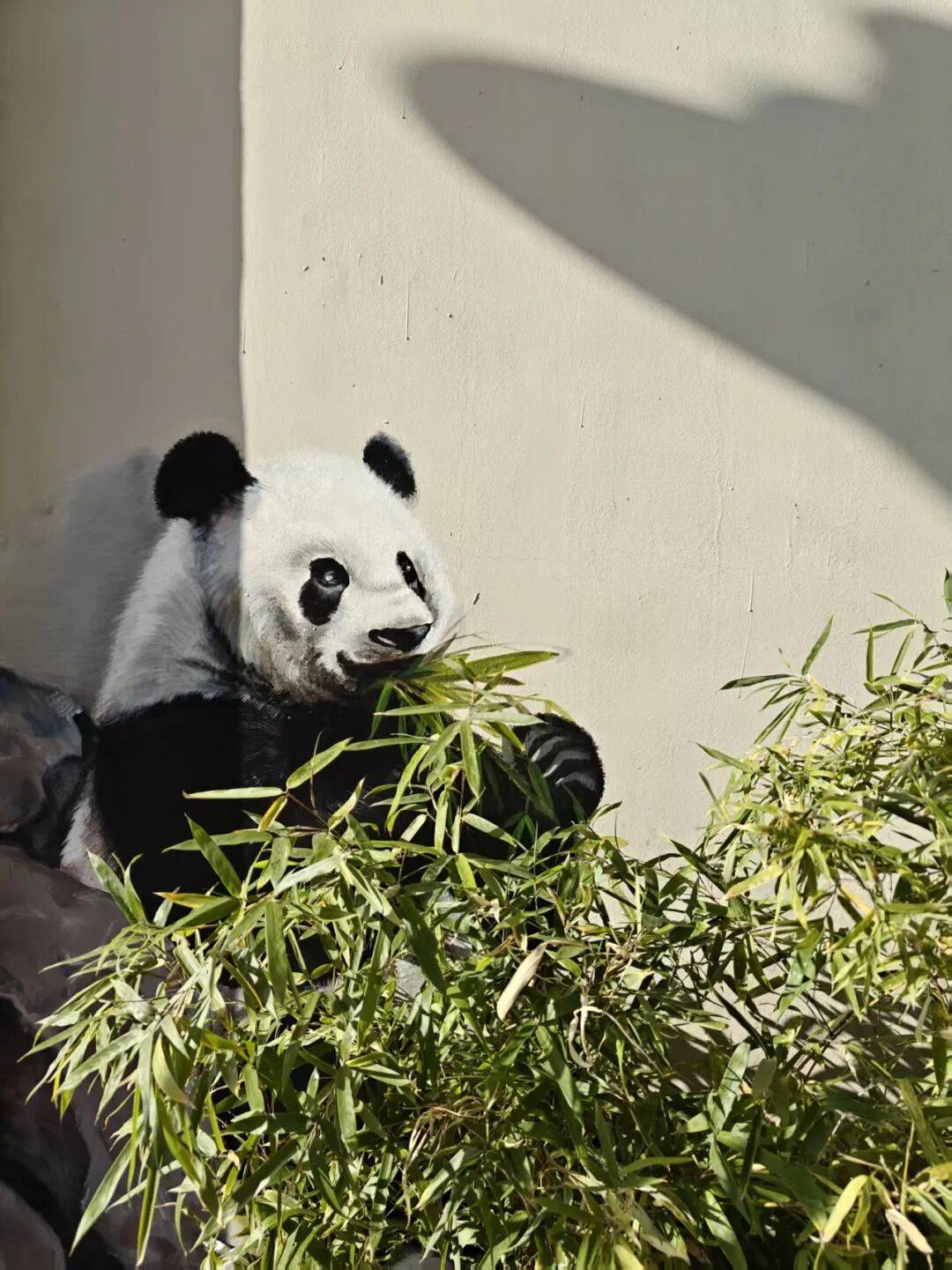 “颜值”出圈 天津和平区独山路这面彩绘墙“亮”<strong></p>
<p>虚拟币单位t</strong>了