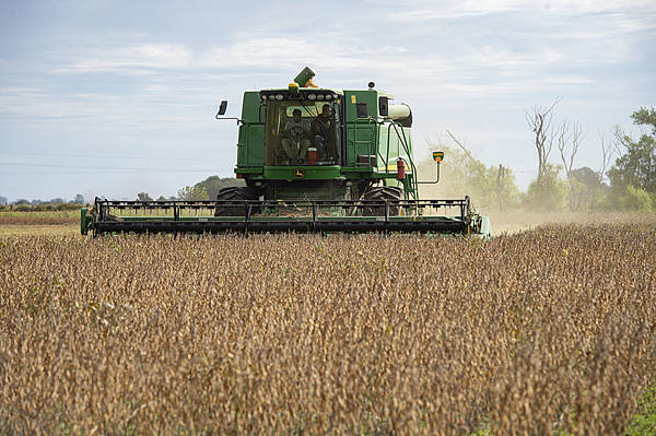 自上世纪90年代以来<strong></p>
<p>虚拟币CP</strong>，中国首次购买阿根廷小麦