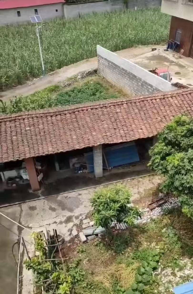 “男子改装射钉枪射杀邻居夫妇案”二审将于17日第二次开庭<strong></p>
<p>虚拟币CP</strong>，被告人一审被判死缓