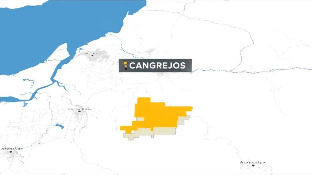 掏出71亿元现金<strong></p>
<p>2022年国内虚拟币走向</strong>，河南巨头拿下国外四座金矿！