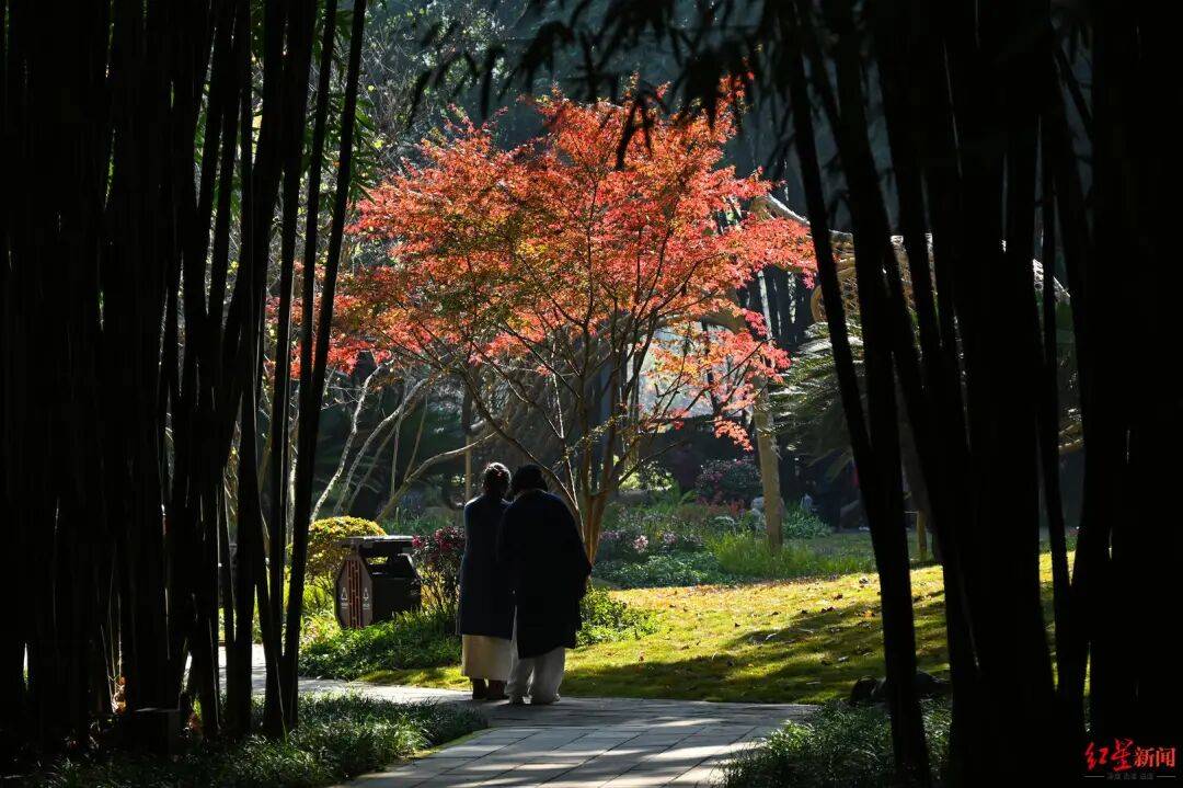 我国已进入拉尼娜状态<strong></p>
<p>虚拟币global</strong>！四川今冬或“前暖后冷”