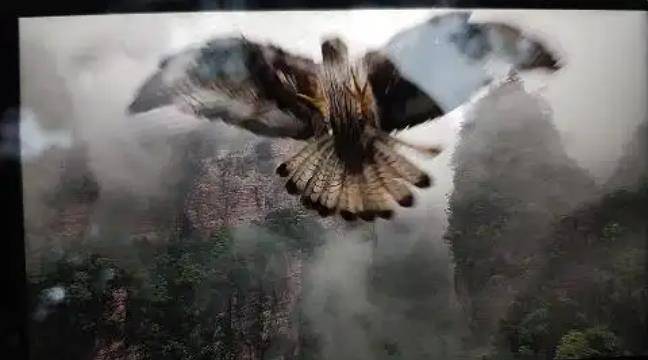 土耳其老鹰空中抓走无人机<strong></p>
<p>红旗币虚拟货币</strong>，带上山顶“玩自拍”