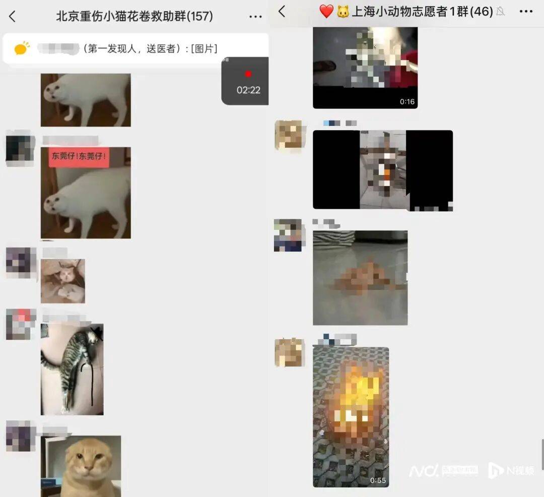 被指惨不忍睹!微信群涌入大量不明人士<strong></p>
<p>个人挖虚拟币一般拘留多久</strong>,突然“炸群”!广东一地警方介入